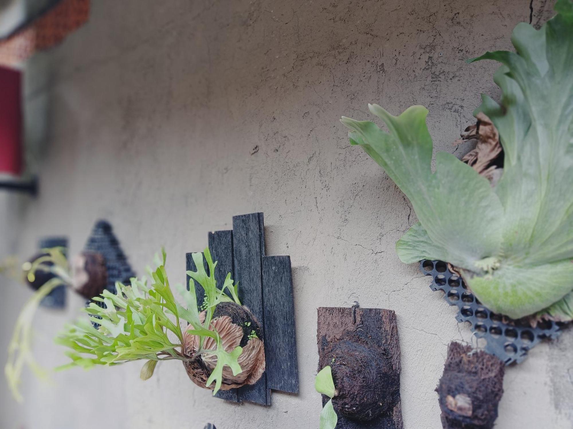 Sudana Homestay Ubud Buitenkant foto